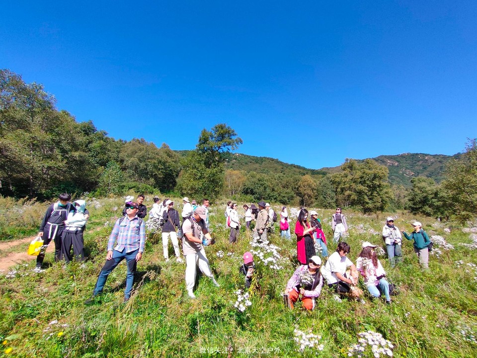 59CE3B16-9F31-4FDA-B0D7-182B1D738E54