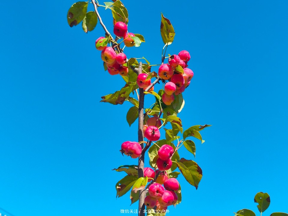 95FB6FF3-9DF3-4761-ABE5-6DC3446B9B99