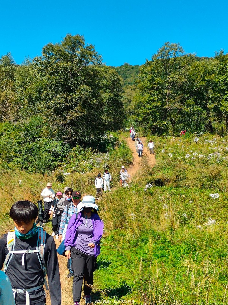 D8748F7A-00B9-49B3-BD8A-F2DBA514F641