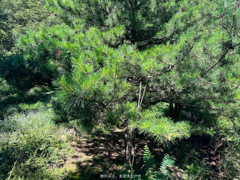 8BA78D46-C3AF-45FB-AA05-875A49665D8C