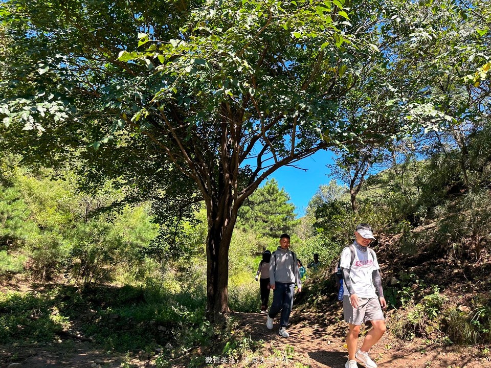 B2C2B772-A7D4-44E9-9D3D-F0F87E4FF92F