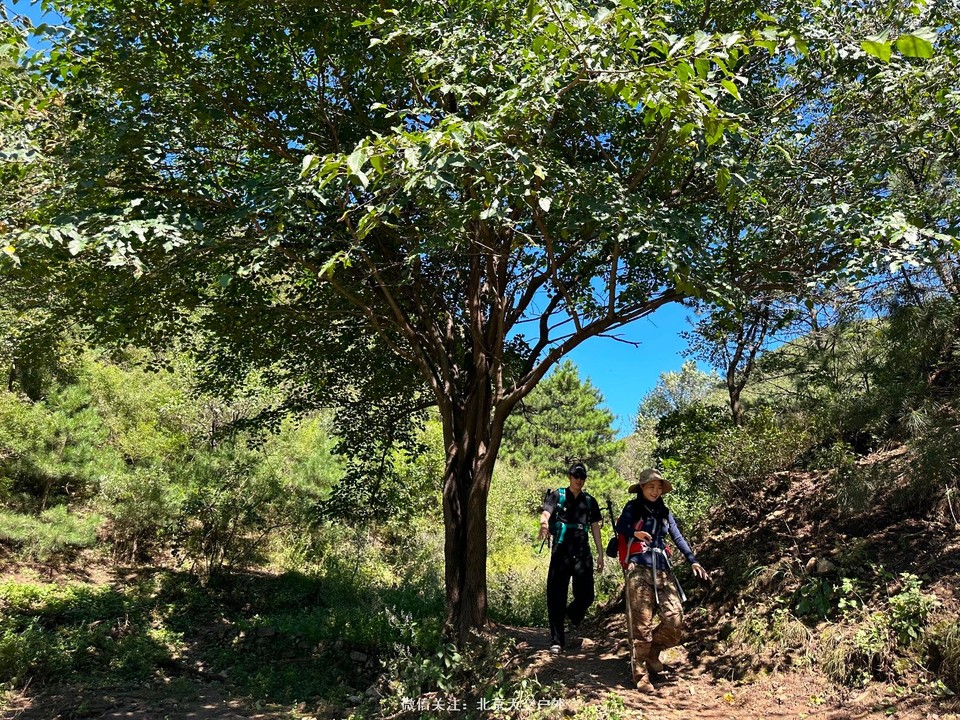 930DE132-823D-45DA-90EC-15B8D60CA19D