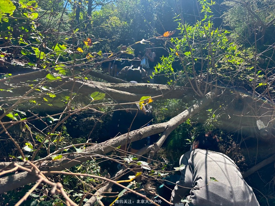 006FB604-BE2C-4819-9CFA-B6F2F9CCAB90