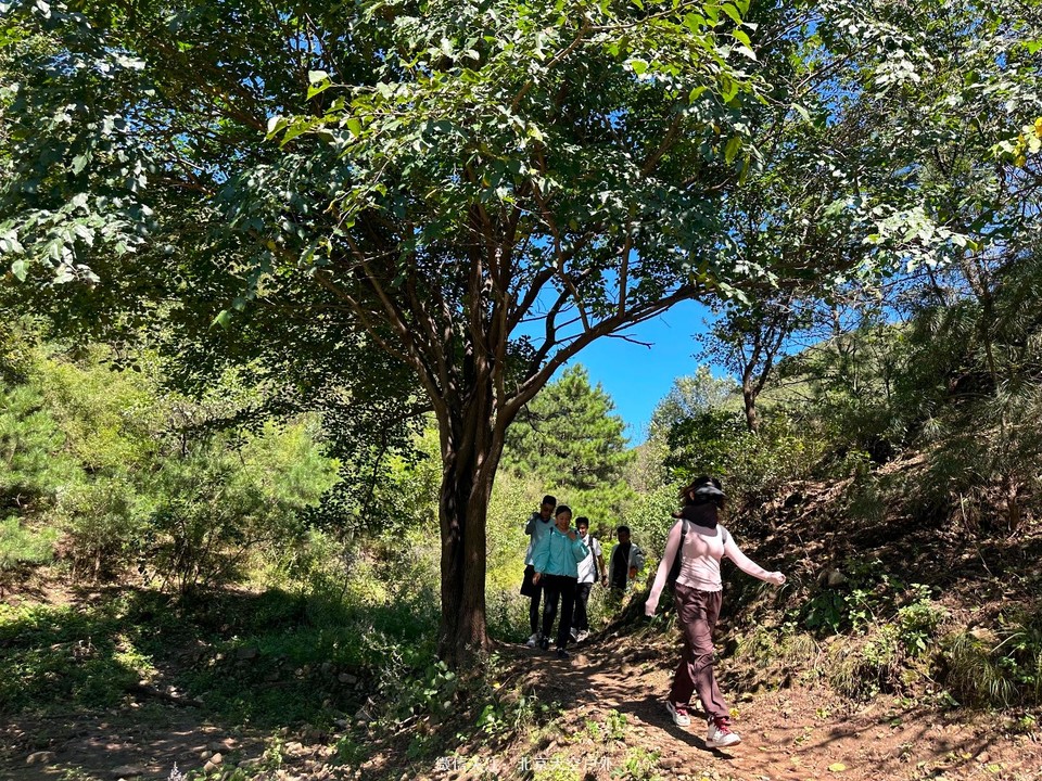 6F6AAC29-4EEF-4774-96C6-DA79B45A3A53