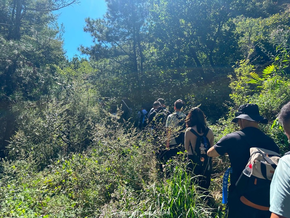 2C0D81EF-CE5D-45A2-816F-404A2A3A8225