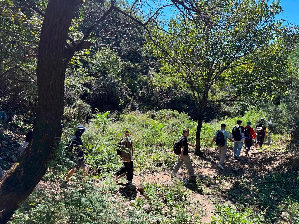 A8F0EA70-3E14-49FE-ADFF-6E99D8A67529