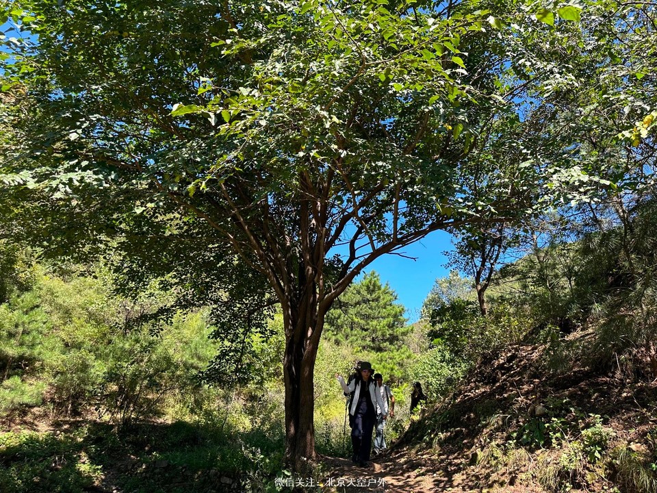 808476D7-23C9-41FE-B13D-ADE8B8CBCC5F