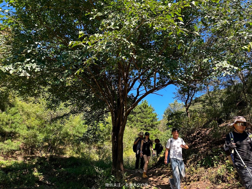 B5C7C1F9-0F69-4FB2-A668-031EDE579BFF