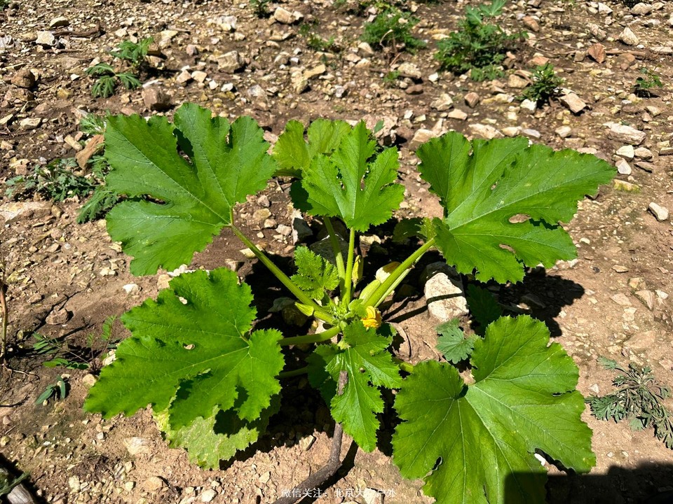 EEDCB1A6-1B13-4680-BC22-4DC7F6E52B99