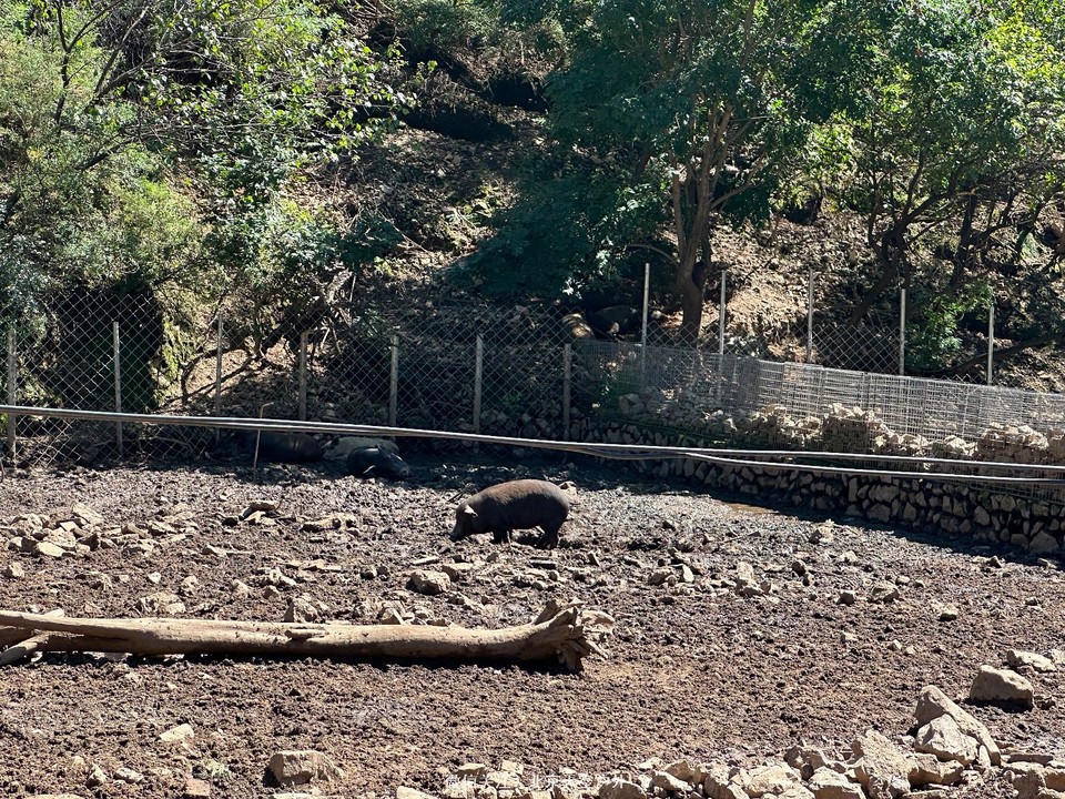 C8B69998-5C15-4FD0-B025-B7B496C048D2