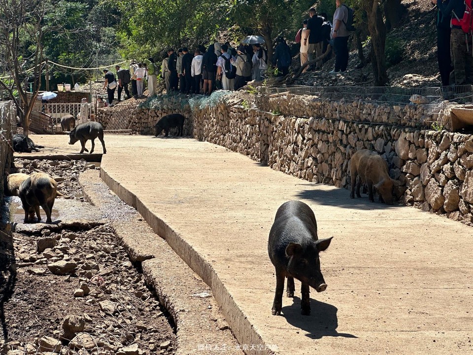 AD772CBF-73C1-4552-98BE-47EA81B91DAF