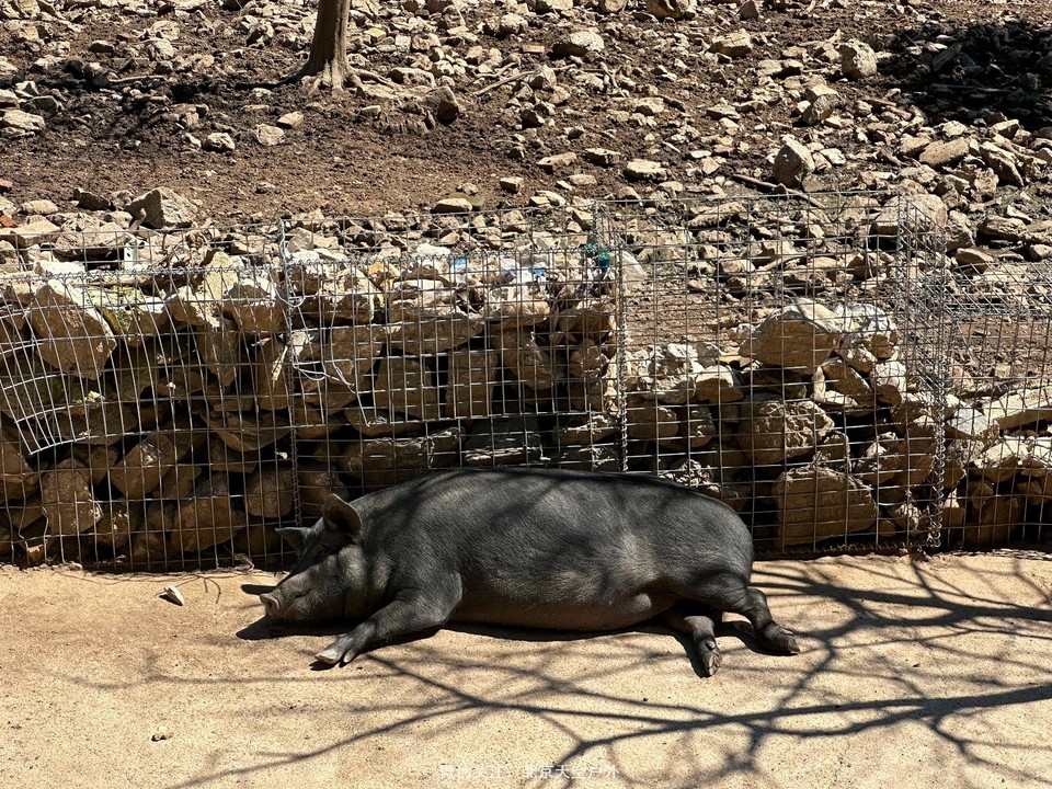 A242C884-E311-4EDE-AC00-EC903CAE35A5