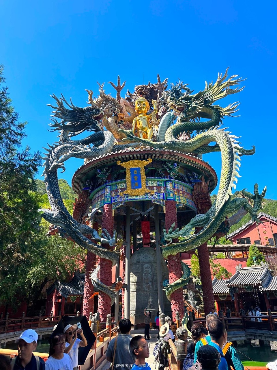 C817A909-6009-4351-845B-4C966C4A75E4