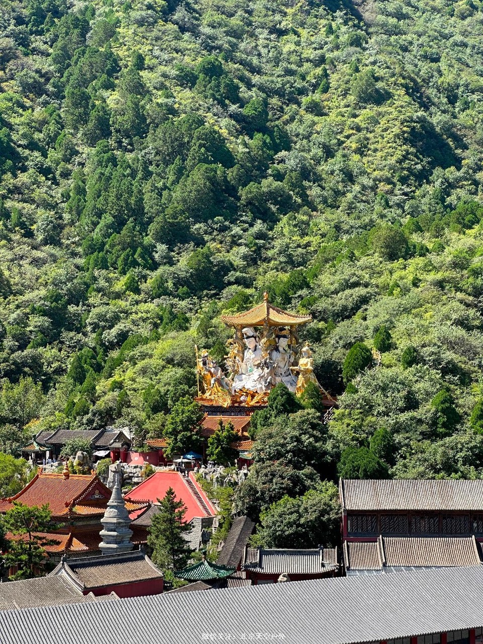 06A26CFB-77A9-4DDC-807B-6A489792AD4E