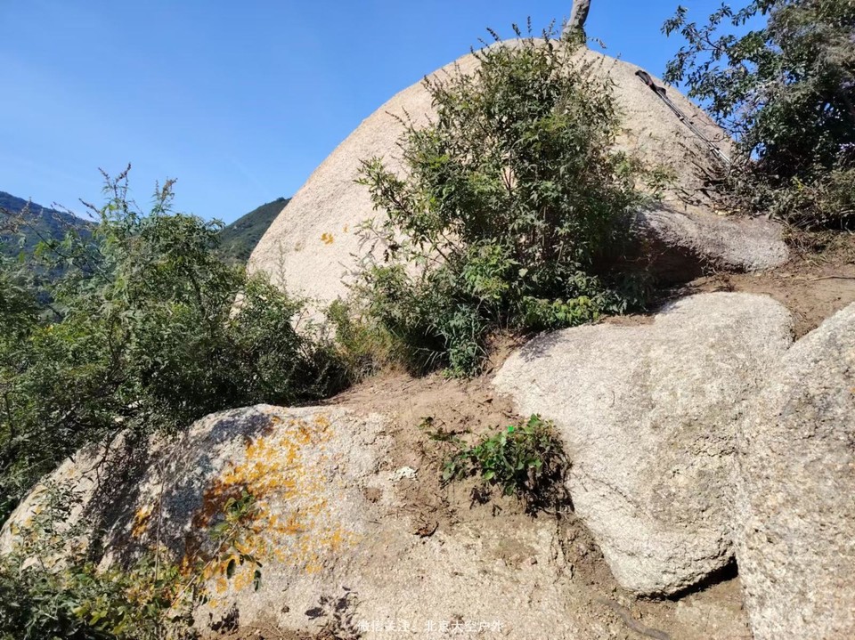 155CD6B4-054A-44F7-8331-57571FC83F61