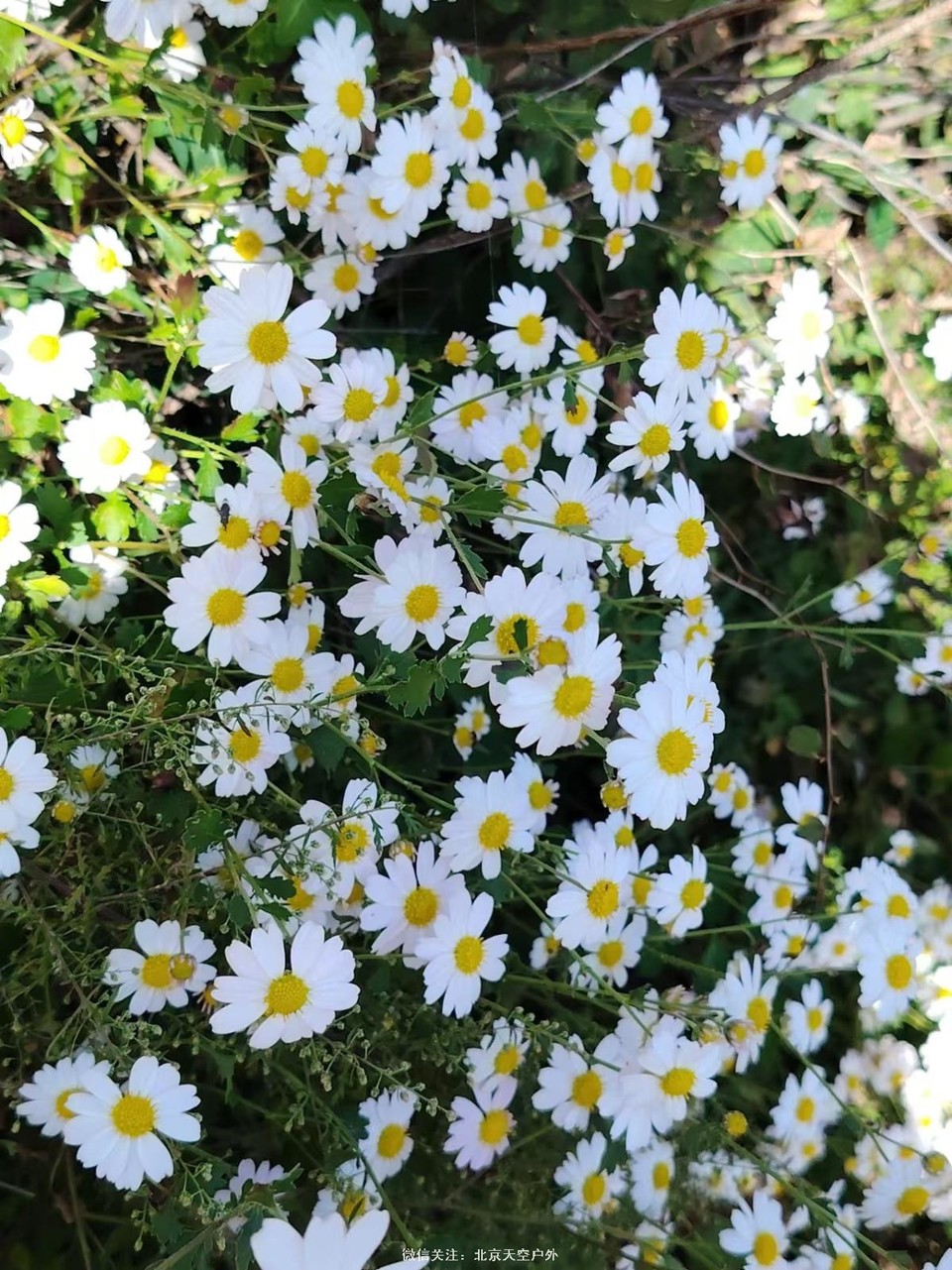 BB0A5F7F-7FD8-4CE5-8AE8-9BA279060E87