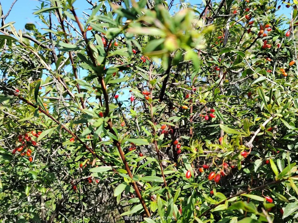 9E955D2A-E4E0-4EA8-A9E7-B91664AA2426