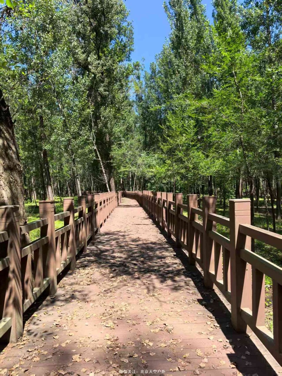 F68F03C4-3690-4151-8174-05A57C77B426