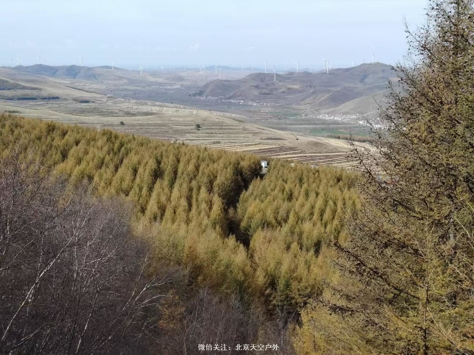 8DD301BB-877E-43B0-842D-363DDD1D7809