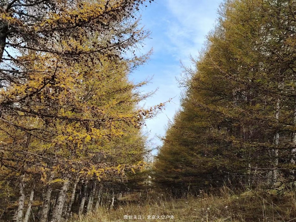 379A106E-EF85-45F4-9880-A84E1E32142A