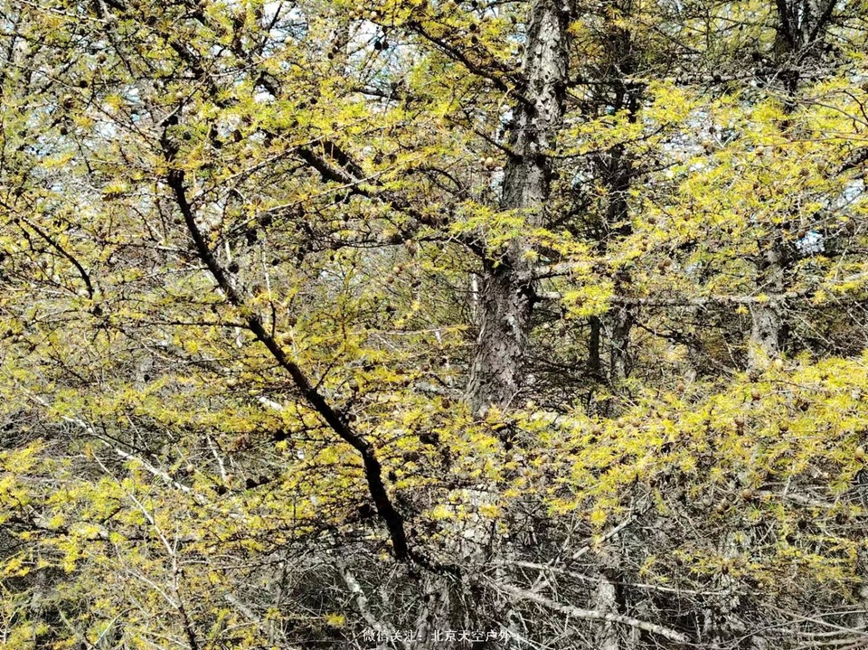 D5A56426-A167-4511-8193-70A308E9DDFE