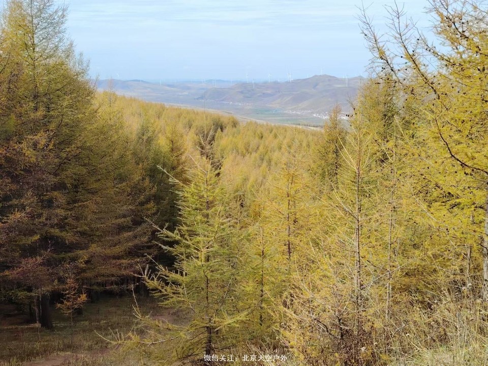 1048EA42-9EE6-415A-BEB1-3898D3C0634E