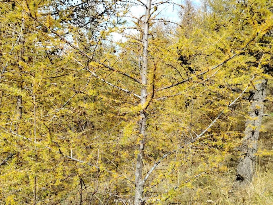 08E931A0-5DE3-4985-9ACE-4AA7401665DF