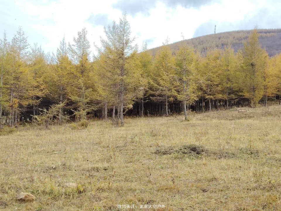 4A92A5B8-7EC2-4301-BE2D-57CB54E26E4B