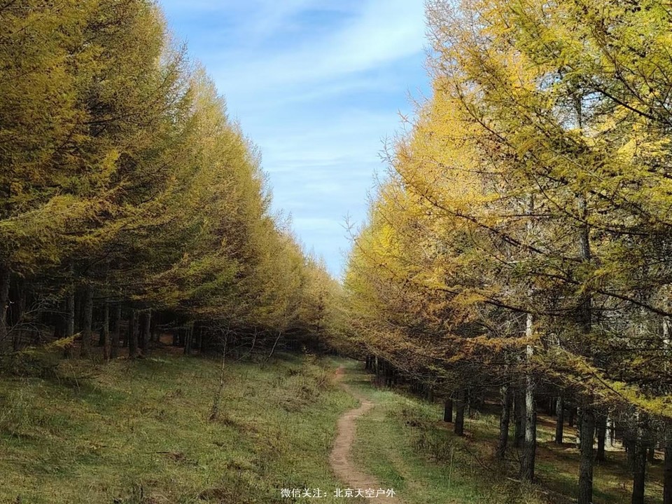 0F4A7B0F-BD63-4F79-8809-145908252505