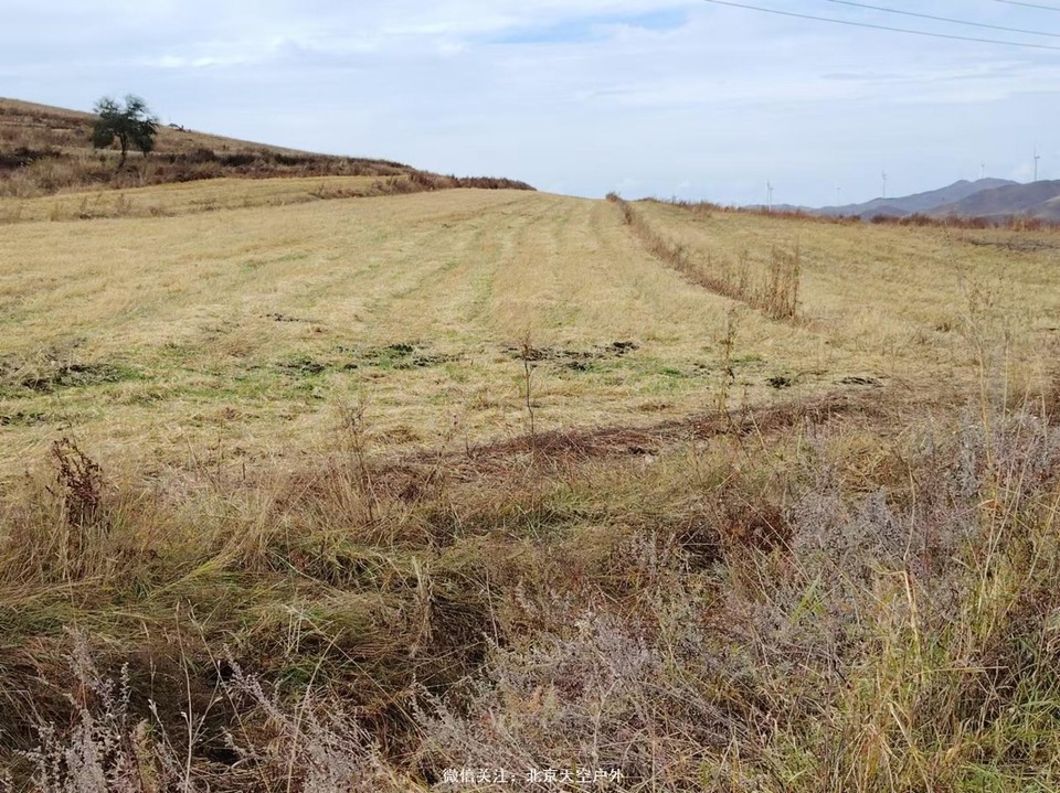 C2E0BA71-2D67-491C-B5C2-AE9DFDF4CE63