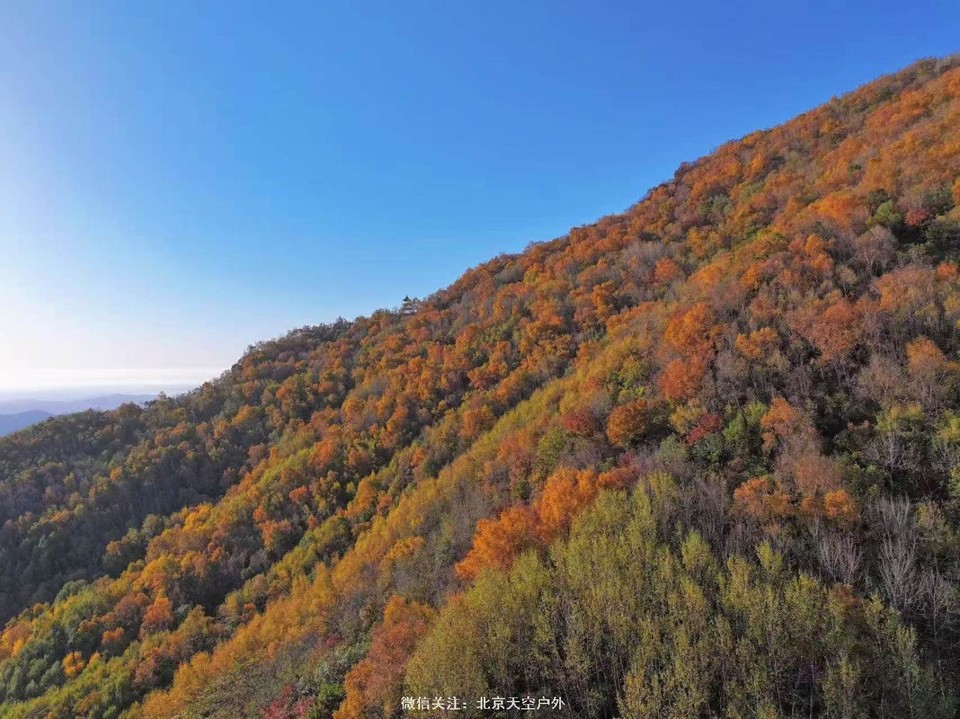 C35F284B-823F-4B09-95ED-C92237D46208