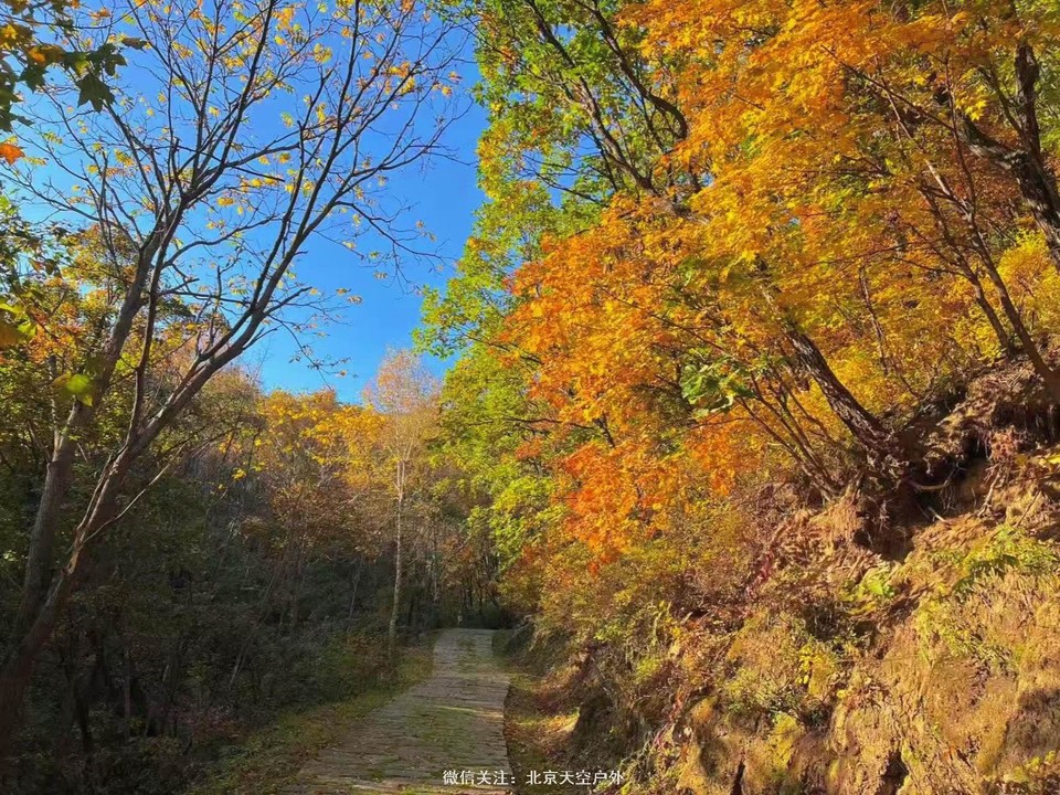 5FA29875-F789-43E0-A596-345079AC6B67