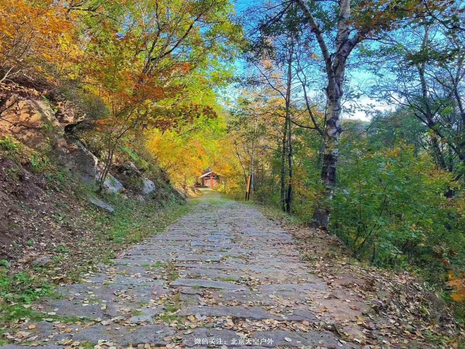 DFCD9CA5-6F58-4C27-81EA-9474A22F1C54