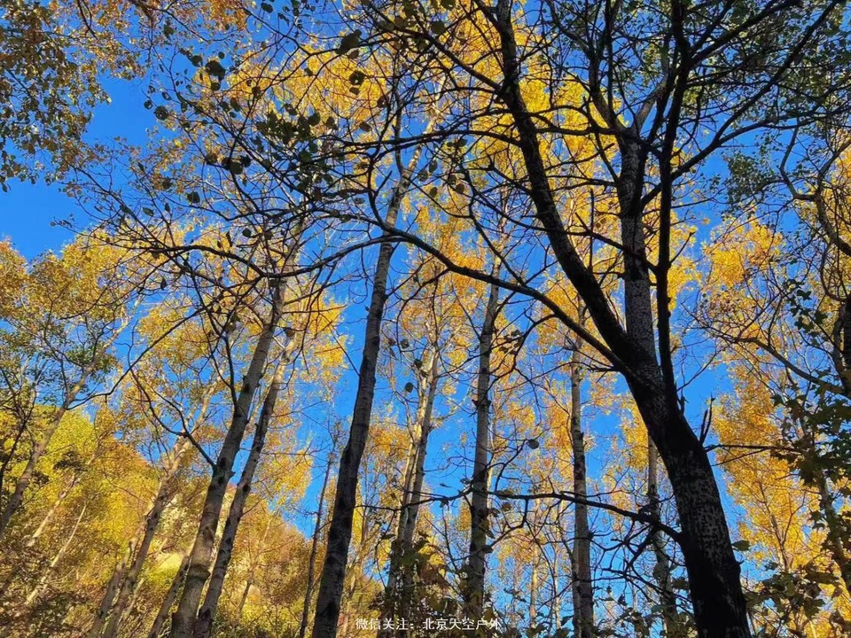 0B9F89D6-A64B-43FE-A1AA-A3F0FD491D21