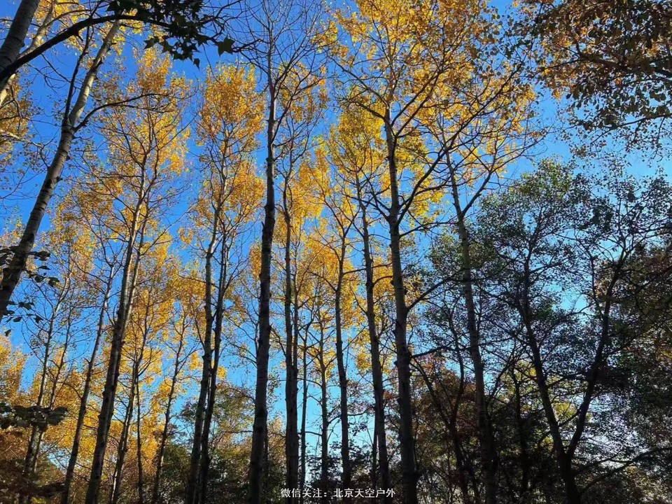 81F59592-FF1E-42CD-88C8-CC5578029CC7