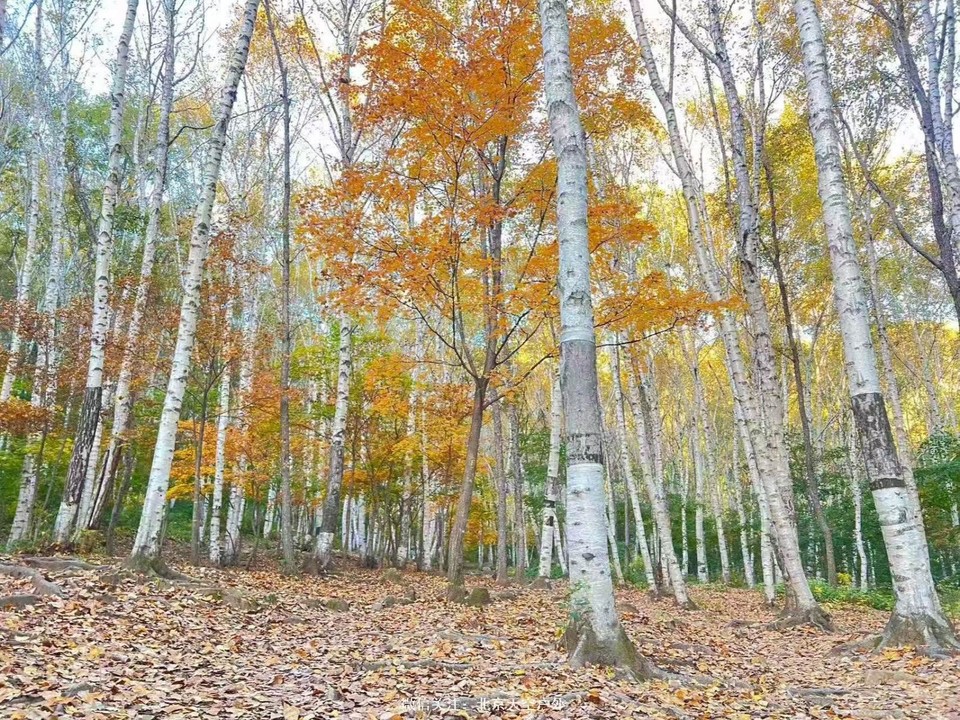 CBEDD8B7-77E1-4FA0-BAF7-EAB0C71BFB41