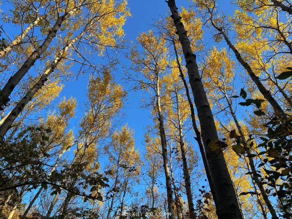 43158C7A-7F4C-49C0-8D05-D3E684D8E151