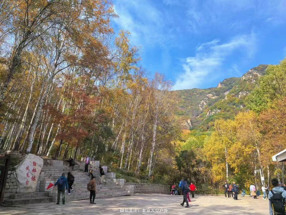 6795D2F9-285D-4C95-9980-4F16248BD03E