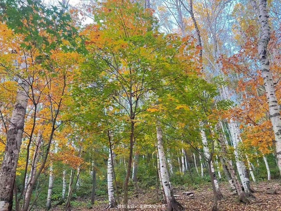 A7ADB4D9-6AF6-4405-B58E-43CB3A3D480C