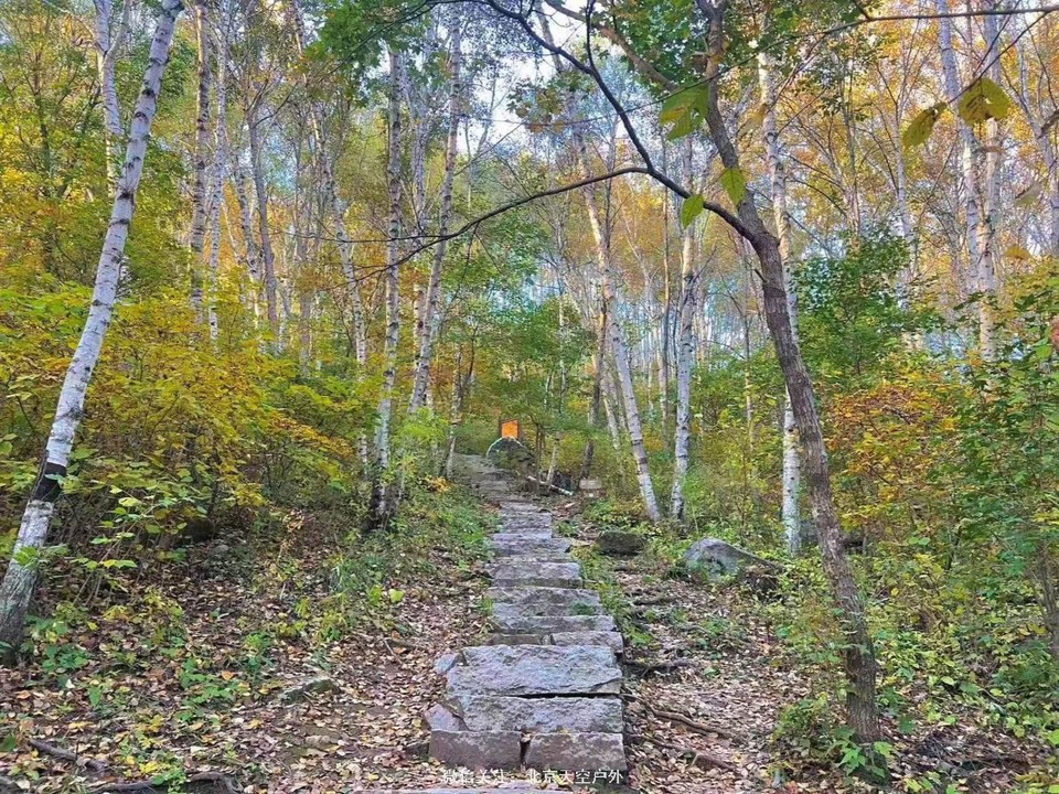 ABC6E6D1-CB3A-4616-B8C0-DB512ED2FF74