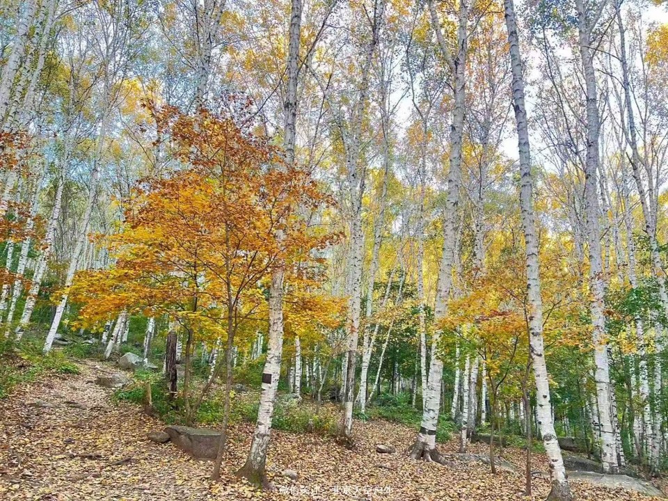 B6BB180D-857A-4608-910F-8794DBD386FF