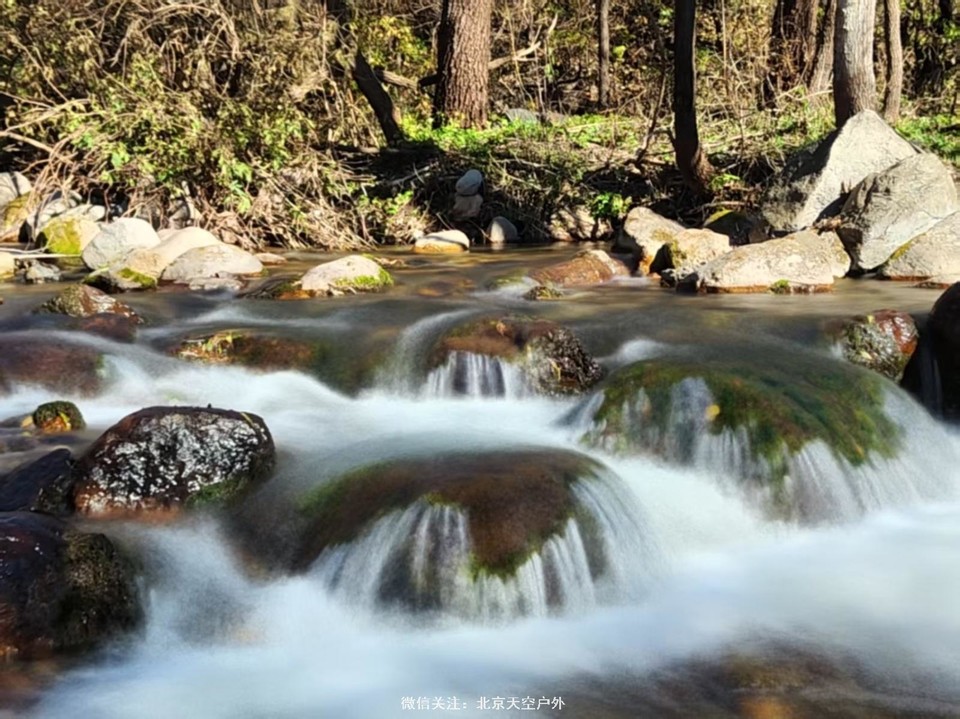 6029878A-5B67-42EF-90AD-ED50457C250B