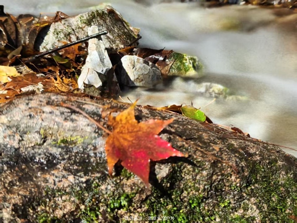 9E209F67-6023-46FB-883E-48F95D994848