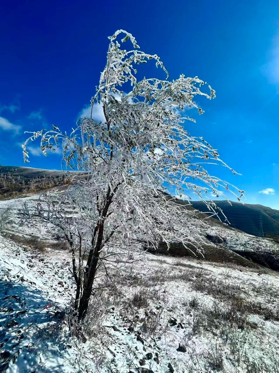 82879557-9C7B-469B-A8B1-A9AA99E68AED