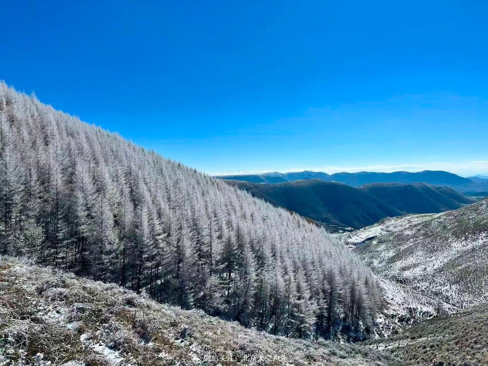 934F5E9D-A2F1-4CD1-B5C1-0DF59F77C0A7