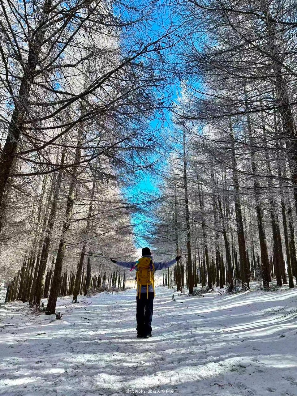 0E64843A-E611-47BE-A336-2DC21135588F