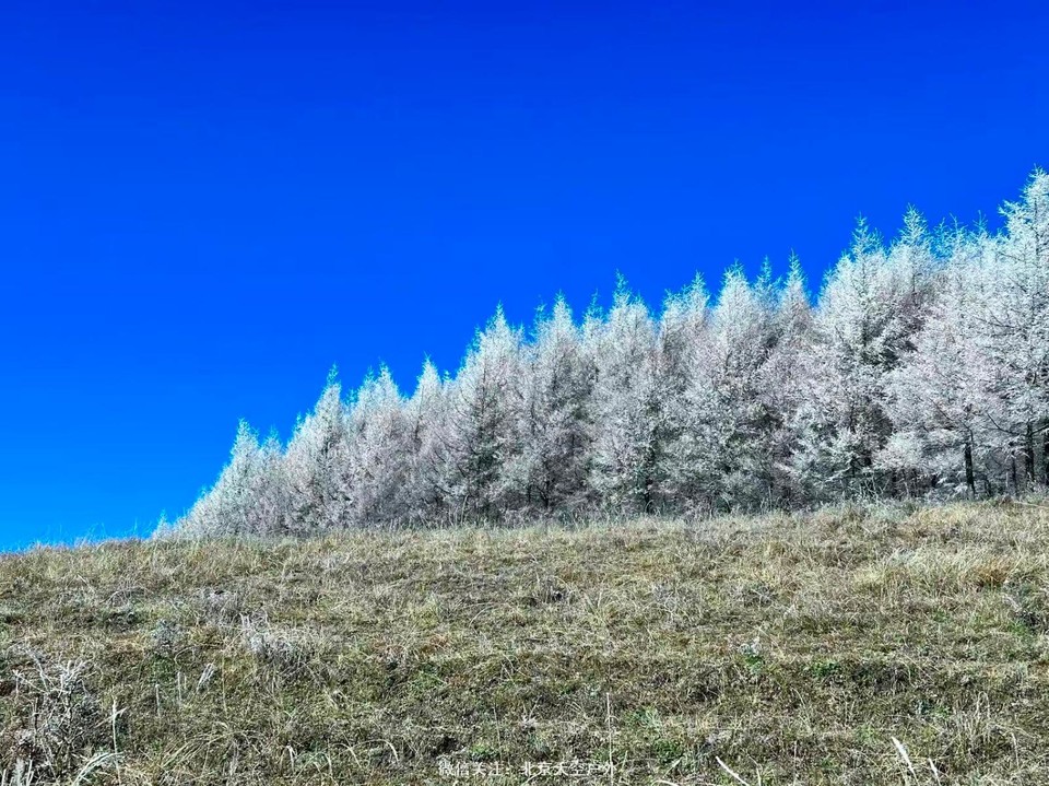 5FA63AC1-1A8E-4035-A1C2-5102C5B389E8