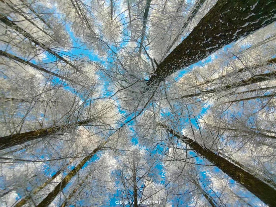 3AB905F6-E2AD-4862-A63F-A6F4CC617C8C