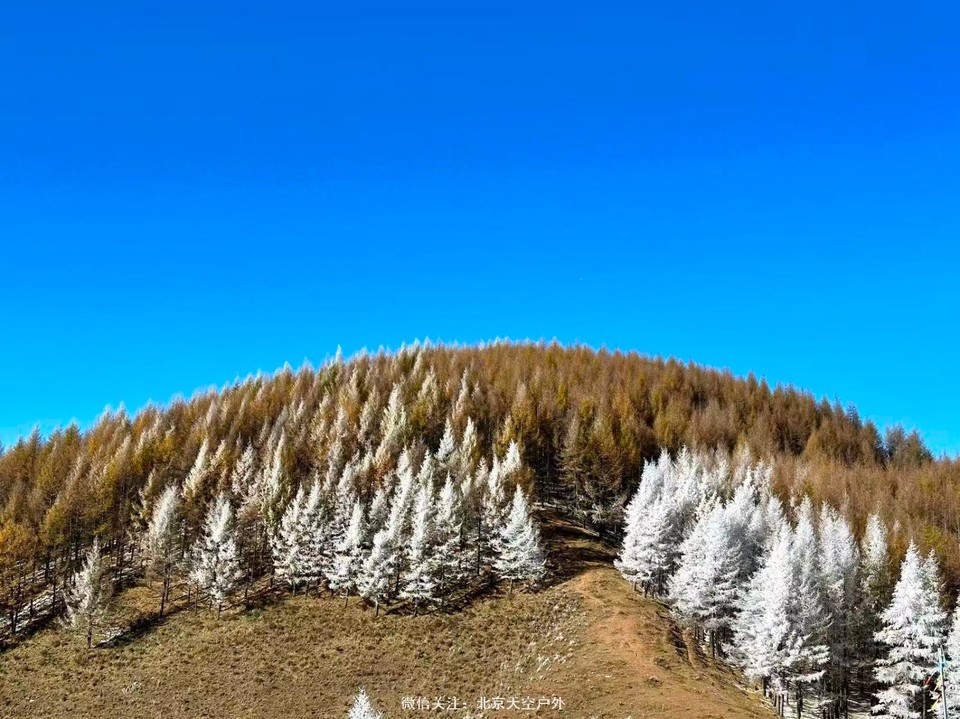 C0B1F53D-F0BC-479A-B991-35A091EA1B5E