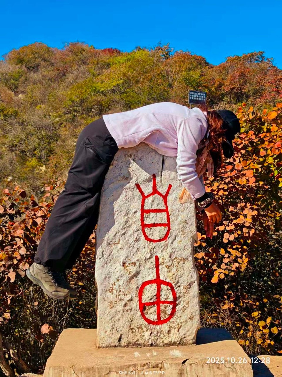 6BDC6BD1-7D3B-4F3B-BBF1-7AE644D773D1